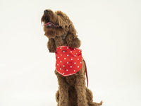 Joules Red "Hello" Polka Dot Dog Neckerchief One Size