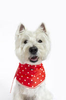 Joules Red "Hello" Polka Dot Dog Neckerchief One Size