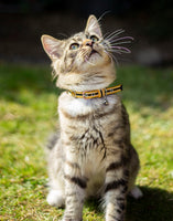 Joules Coastal, Red and Mustard Cat Collar Twin Pack, Safety Buckle