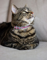 Joules Coastal, Red and Mustard Cat Collar Twin Pack, Safety Buckle