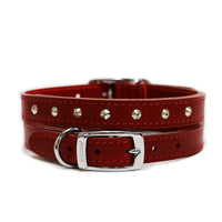 Ancol Bridle Leather Sewn Studded Collar Black / Tan / Red