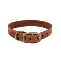 Ancol Heritage Latigo Leather Padded Collar Chestnut