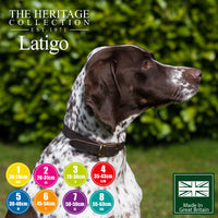Ancol Heritage Latigo Leather Padded Collar Chestnut