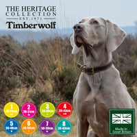 Ancol Timberwolf Leather Blue Collars & Leads