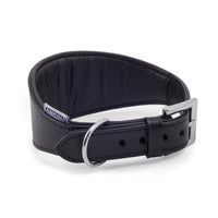 Ancol Greyhound Whippet Hound Genuine Leather Padded Collar Black