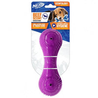 Nerf Scentology TPR Beef Barbell Dog Toy