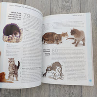 What If My Cat... Expert Answers To Cat Problems (Paperback)