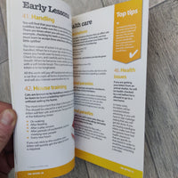 The Kitten - The Good Pet Guide (Paperback)
