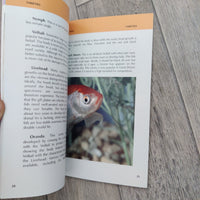 How To Care For Your Goldfish Book, New Slight Soiled Cover