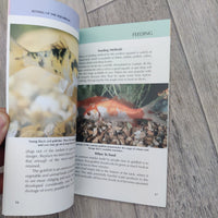 How To Care For Your Goldfish Book, New Slight Soiled Cover