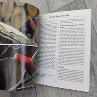 A Complete Pet Owner's Manual: Lories And Lorikeets (Paperback)