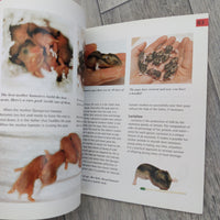 A Complete Pet Owner's Manual: Dwarf Hamster (Paperback)