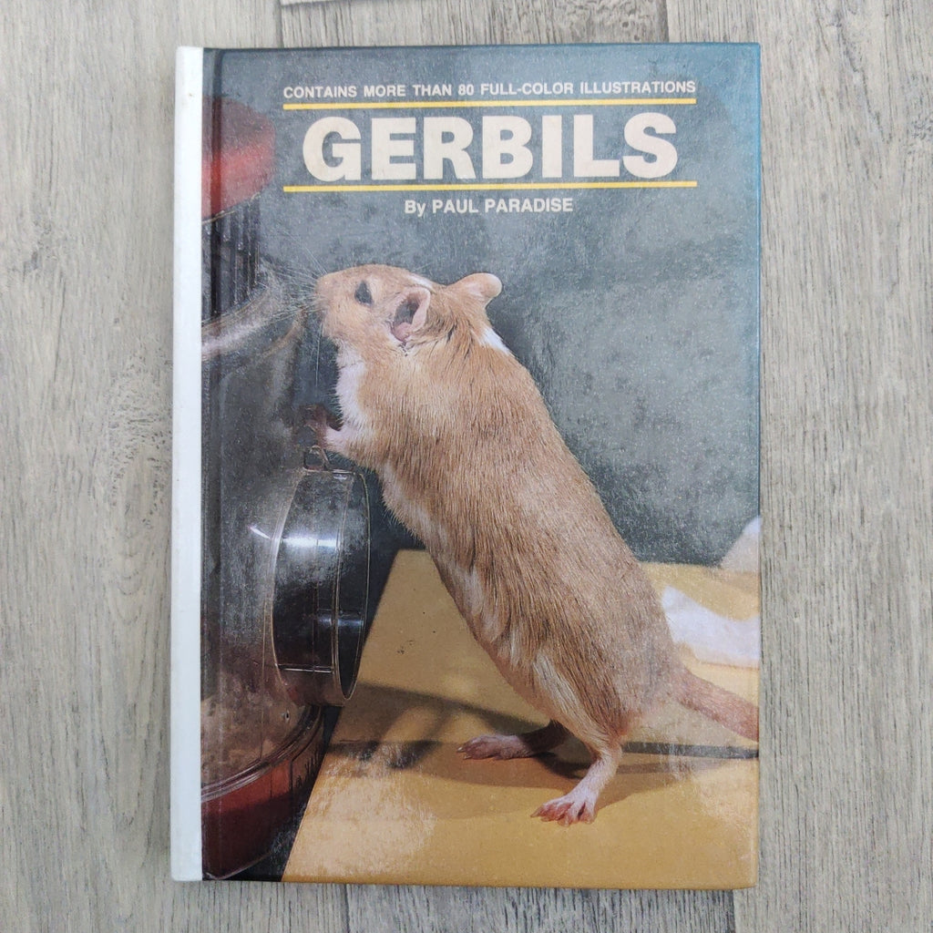 Pet Owners Guide: Gerbils