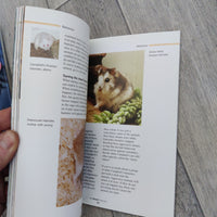 All You Need To Know About The Dwarf Hamster (Paperback)