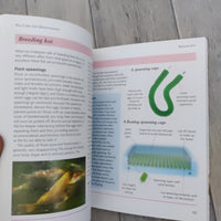 Mini Encyclopedia: Keeping Koi (Paperback)