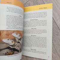 How To Care For Your Lizard - Gecko Beardie Skink (Paperback)