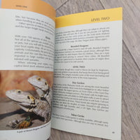 How To Care For Your Lizard - Gecko Beardie Skink (Paperback)