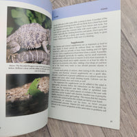 How To Care For Your Lizard - Gecko Beardie Skink (Paperback)