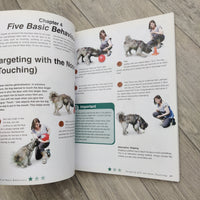 Dog University - A Training Programme To Develop Advanced Skills With Your Dog