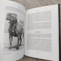 Bullmastiffs An Owners Companion (Hardback)
