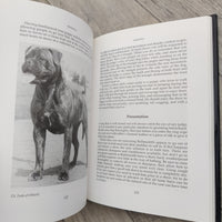 Bullmastiffs An Owners Companion (Hardback)