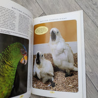 Caring For A Parrot - Teaching A Parrot To Talk (Hardback)