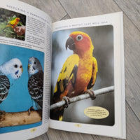 Caring For A Parrot - Teaching A Parrot To Talk (Hardback)