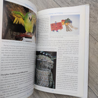 Caring For A Parrot - Pampering Polly (Hardback)