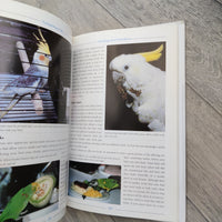 Caring For A Parrot - Pampering Polly (Hardback)
