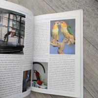 Caring For A Parrot - Pampering Polly (Hardback)
