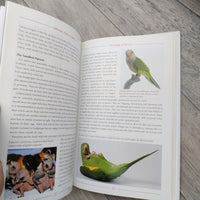 Caring For A Parrot - Ultimate Parrot Guide (Hardback)