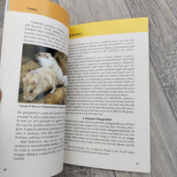 How To Care For Your Hamster (Paperback)