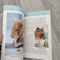How To Care For Your Hamster (Paperback)