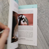 How To Care For Your Rabbit (Paperback)