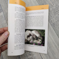 How To Care For Your Rabbit (Paperback)