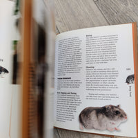 Hamsters (Hardback)