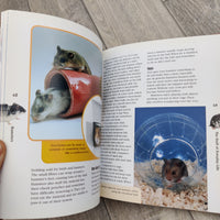 Hamsters (Hardback)