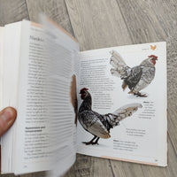 Mini Encyclopedia Chicken Breeds And Care (Paperback)