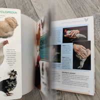Mini Encyclopedia Chicken Breeds And Care (Paperback)