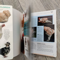 Mini Encyclopedia Chicken Breeds And Care (Paperback)