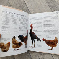 Mini Encyclopedia Chicken Breeds And Care (Paperback)
