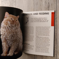 A Complete Pet Owner's Manual: Rex Cats (Paperback)