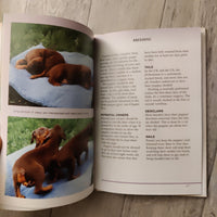 Pet Owner's Guide To The Dobermann (Hardback)