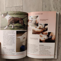 Pet Owner's Guide To The Bull Terrier (Hardback)