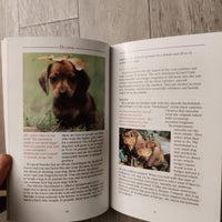 A New Owner's Guide To Dachshunds (Hardback)