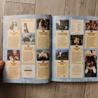 Pet Owner's Guide To: Collie (Hardback)