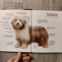 Pet Owner's Guide To: Bearded Collie (Hardback)