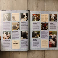 Pet Owner's Guide To: Bearded Collie (Hardback)