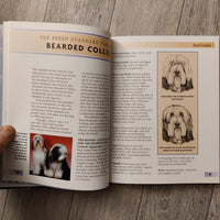 Pet Owner's Guide To: Bearded Collie (Hardback)