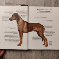 Pet Owner's Guide To: Rhodesian Ridgeback (Hardback)